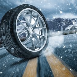 AdobeStock_216536976_Preview